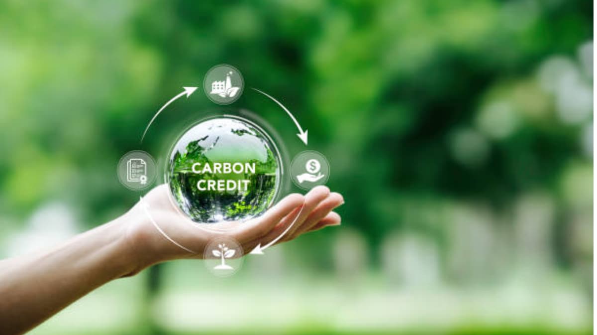 Carbon-Credit